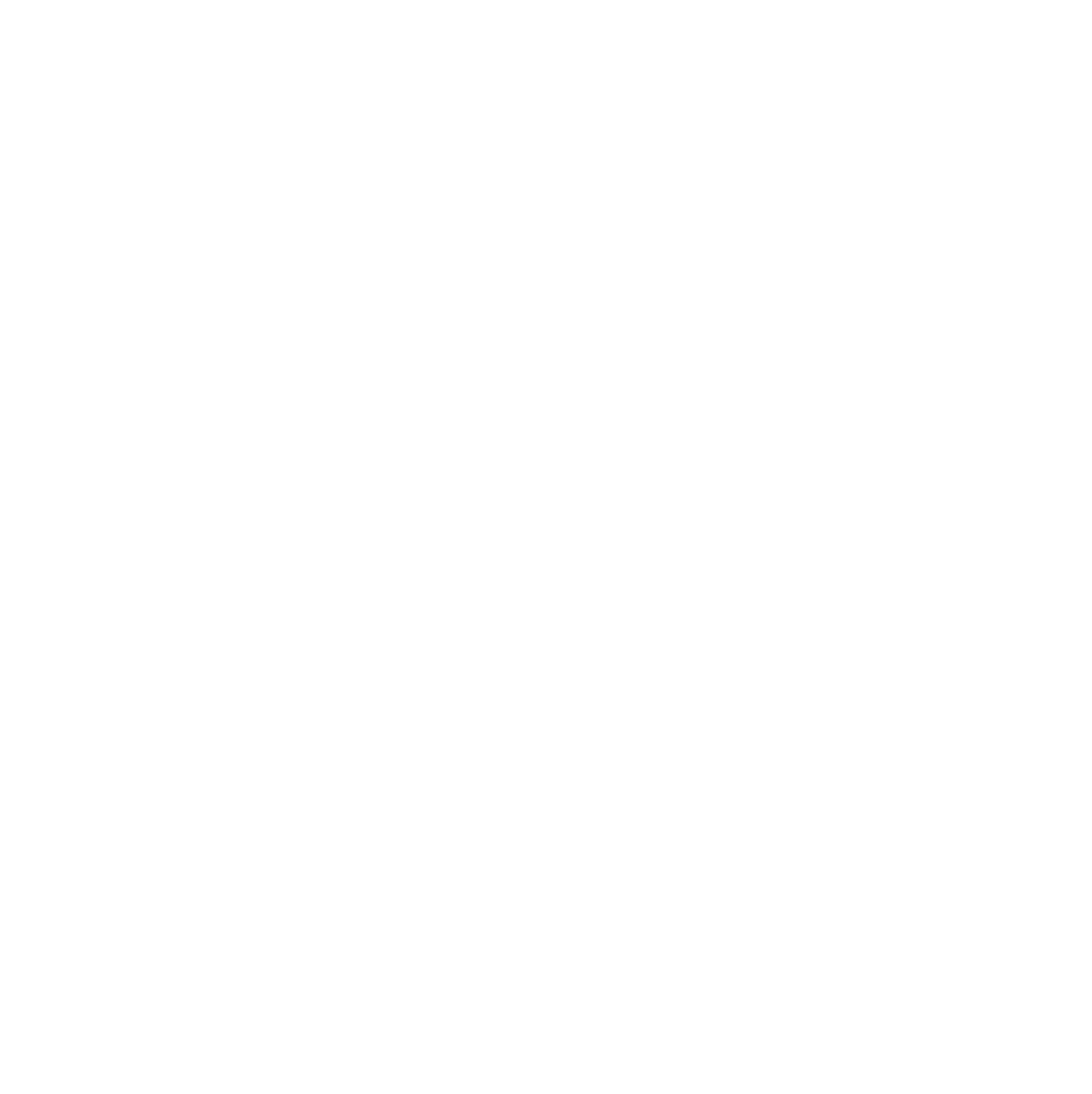 Madison Park Logo White